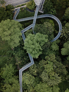 An aerial view of a nature-inspired boardwalk weaving through a forested area.