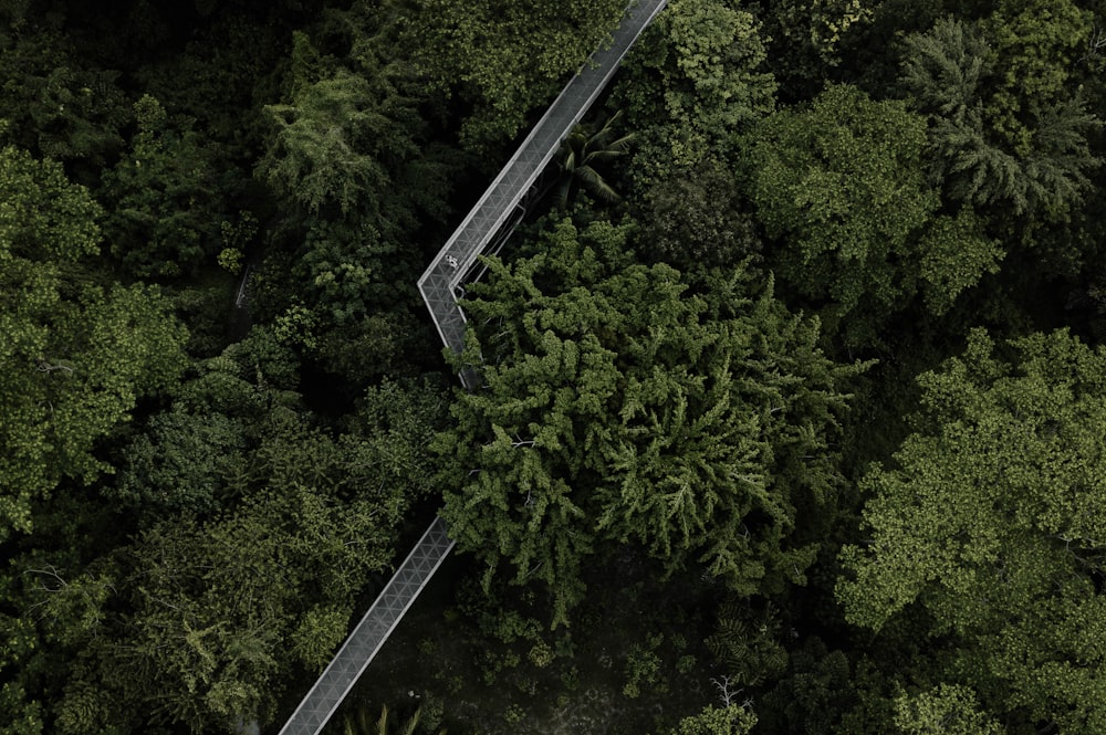 an aerial view of a road in the middle of a forest