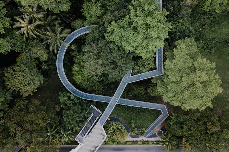 Gambar Kulit Buku Cerpen Cahaya Ilmu di Taman Negara Endau-Rompin (Siri 48)