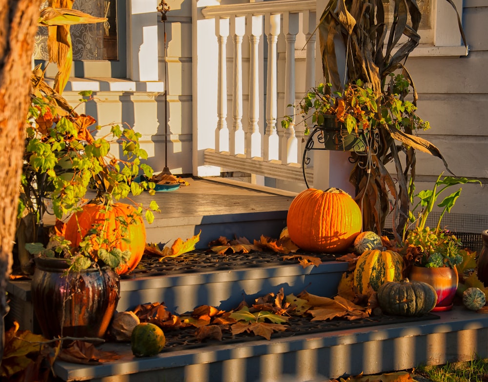 orange pumpkins on doorway