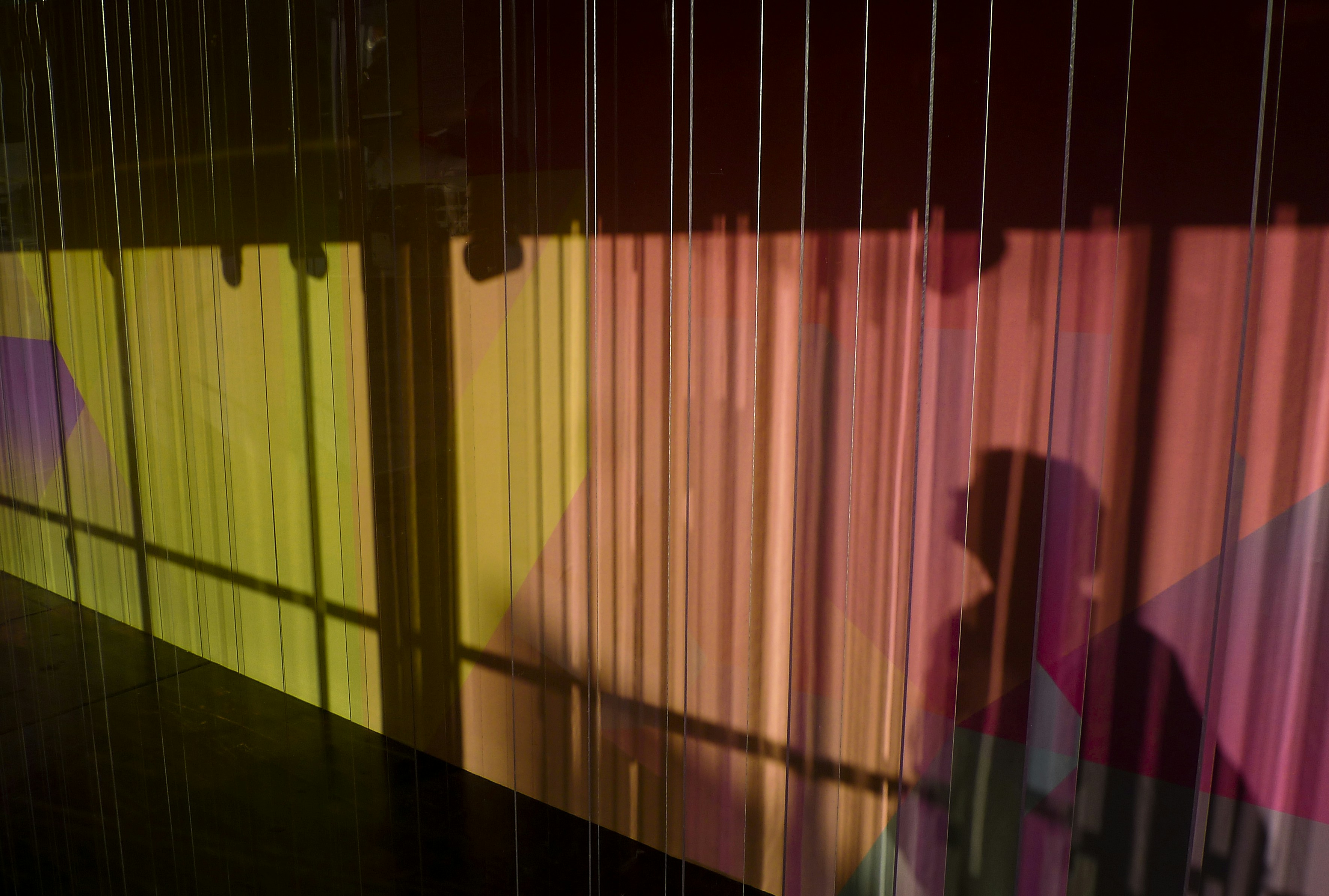 Photo by marijkekrommenacker