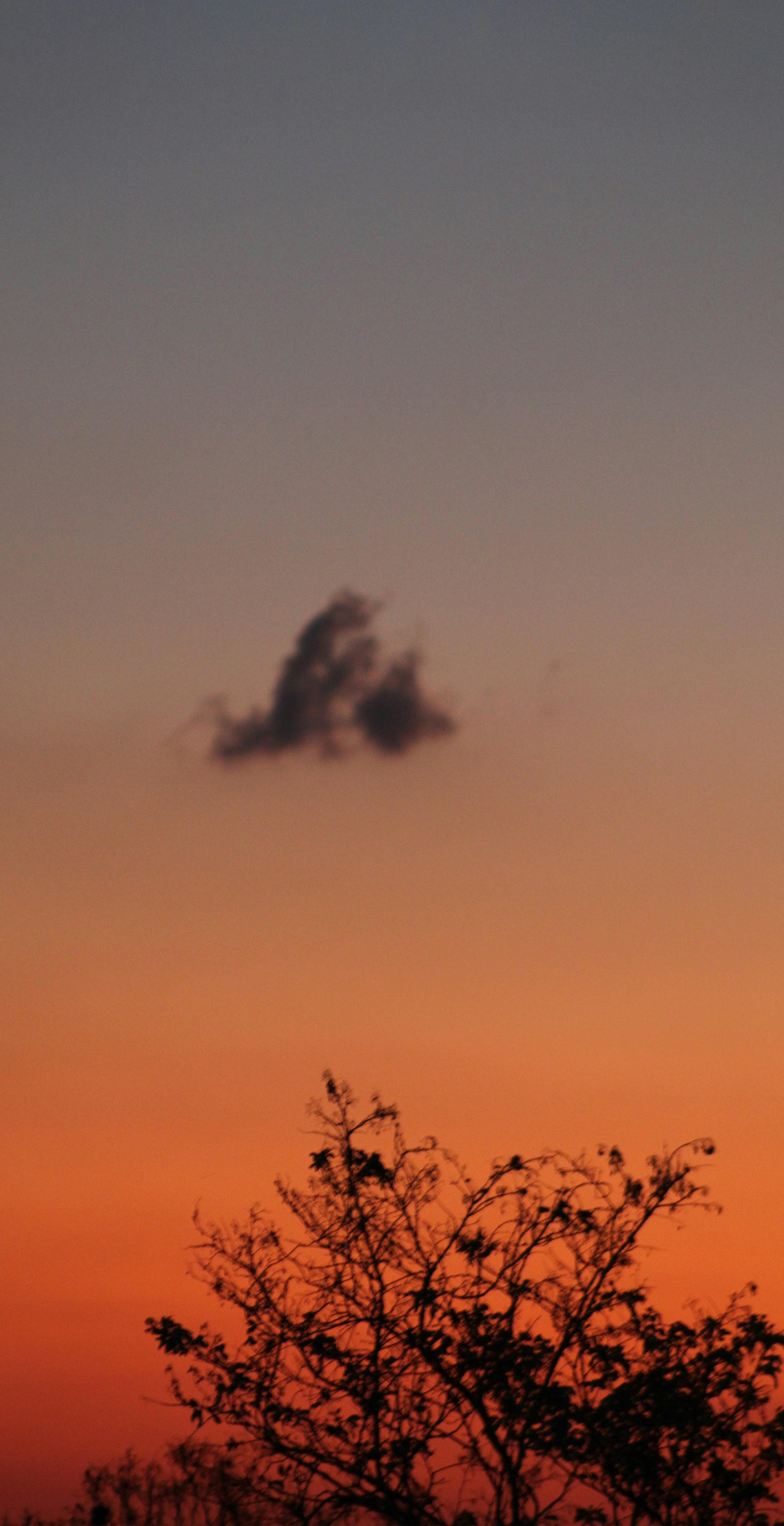 Photo by allecgomes