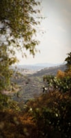 A scenic view of a Jamaican landscape with lush greenery.