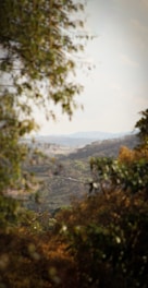 A scenic view of a beautiful travel destination with lush greenery.
