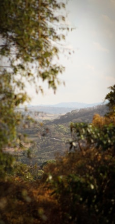 A scenic view of a beautiful travel destination with lush greenery.