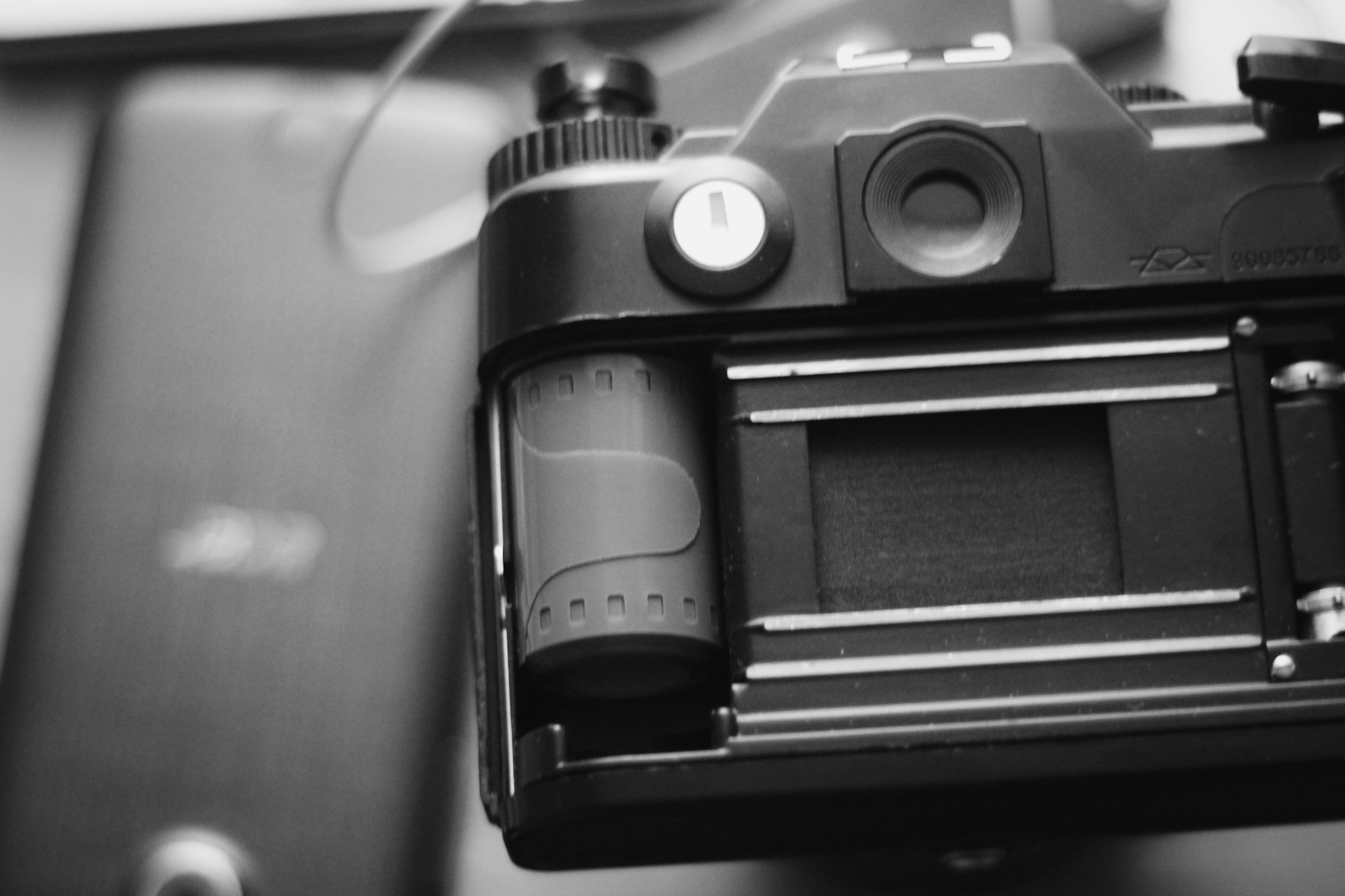 Photo by anastasiavitph