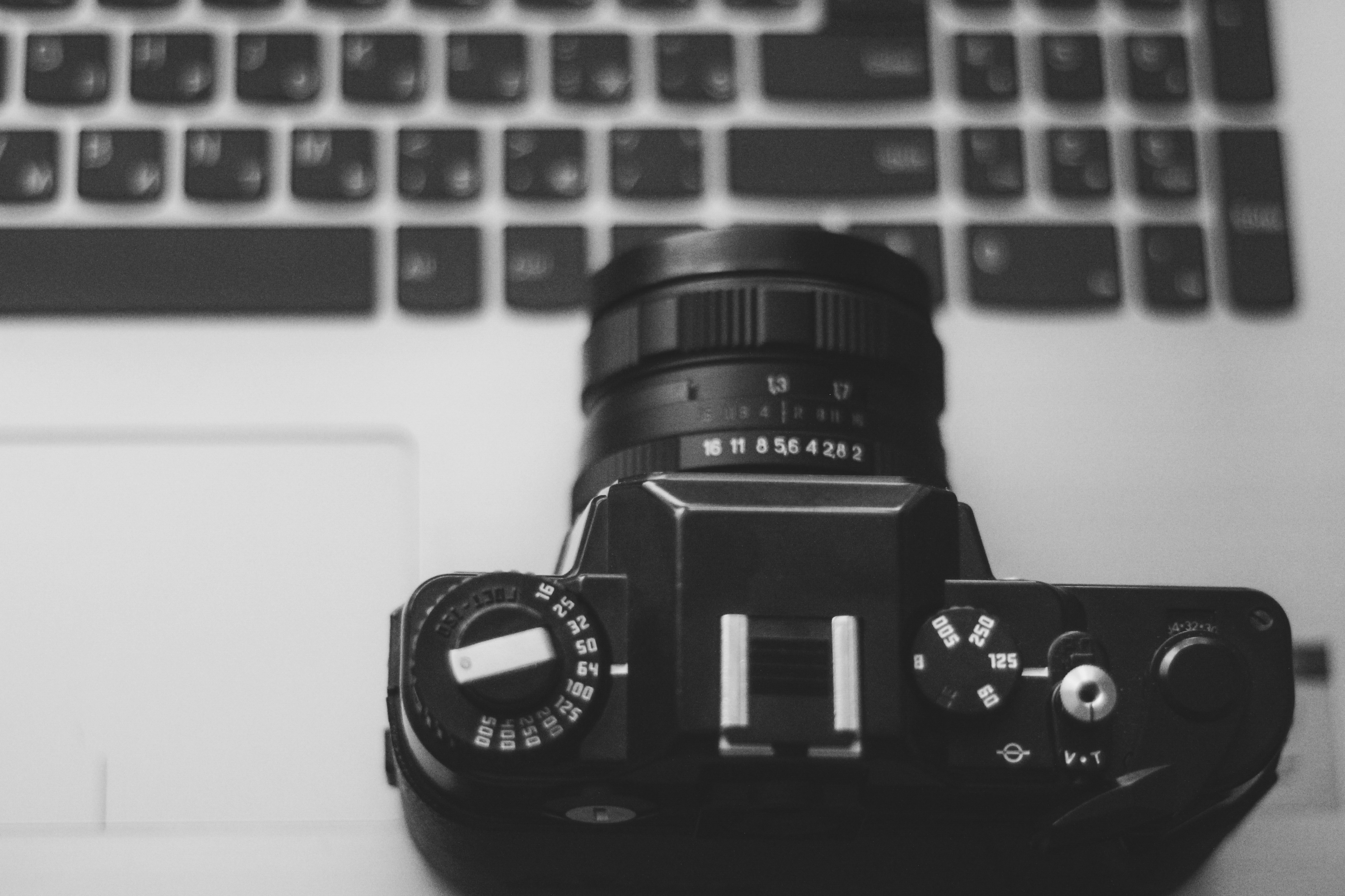 Photo by anastasiavitph