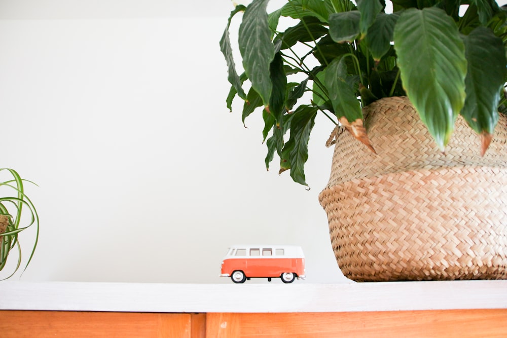 white and orange van toy near green leaf plant