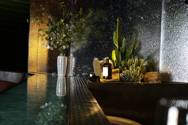 A modern indoor setting features a reflective surface with a potted plant arrangement, including desert plants and cacti, against a textured glass backdrop. A ceramic vase with green foliage stands on the left, contributing to the natural aesthetic. The scene is softly lit, emphasizing the greenery and creating a serene atmosphere.