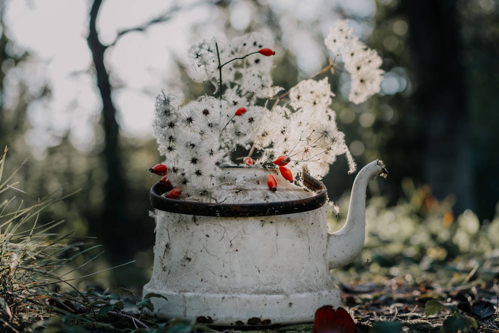 white watering can on ground