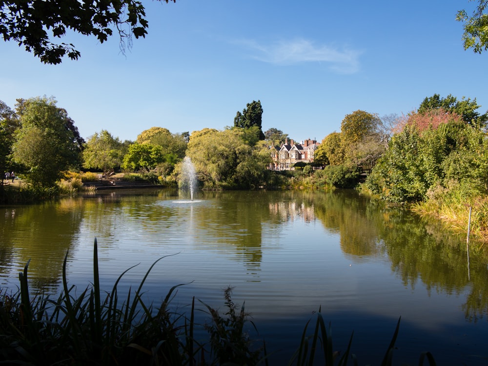 green trees near body of water during daytime