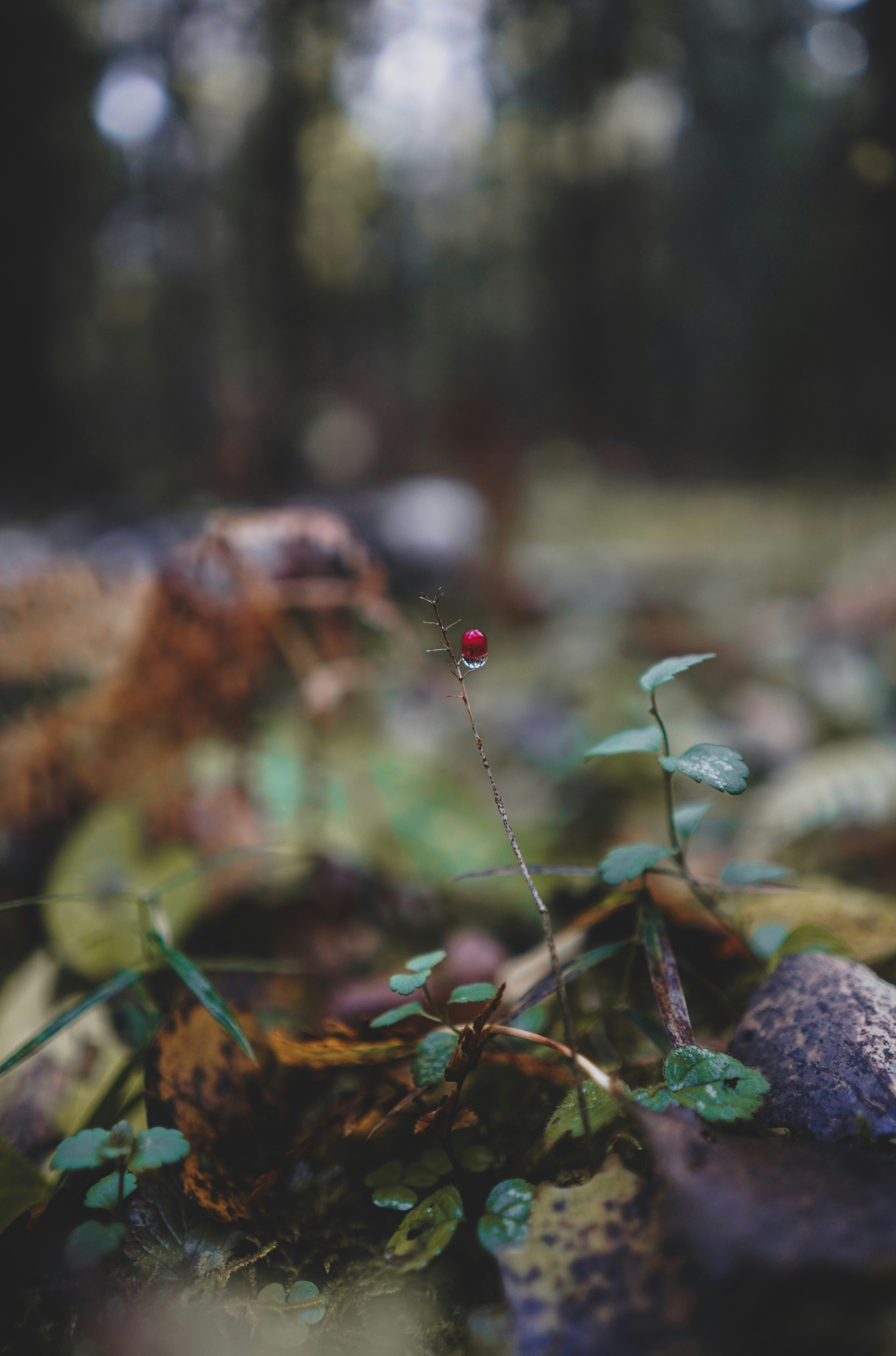 Photo by veragorbunova