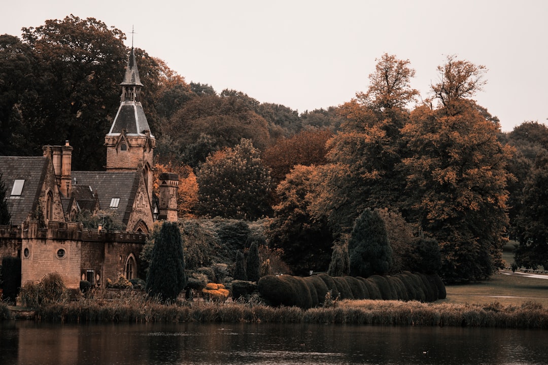 building near brown trees