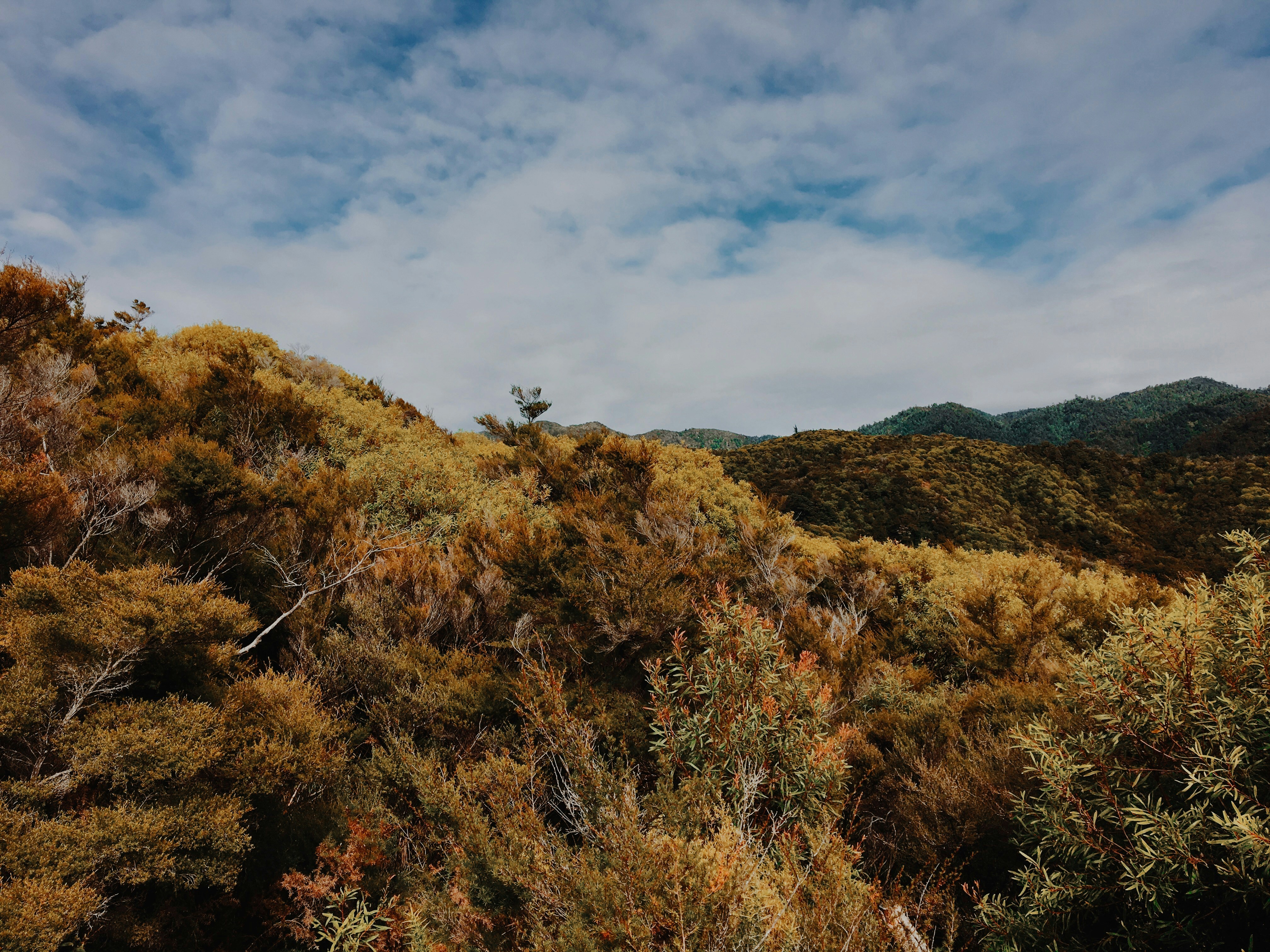 Photo by jasmineyutf