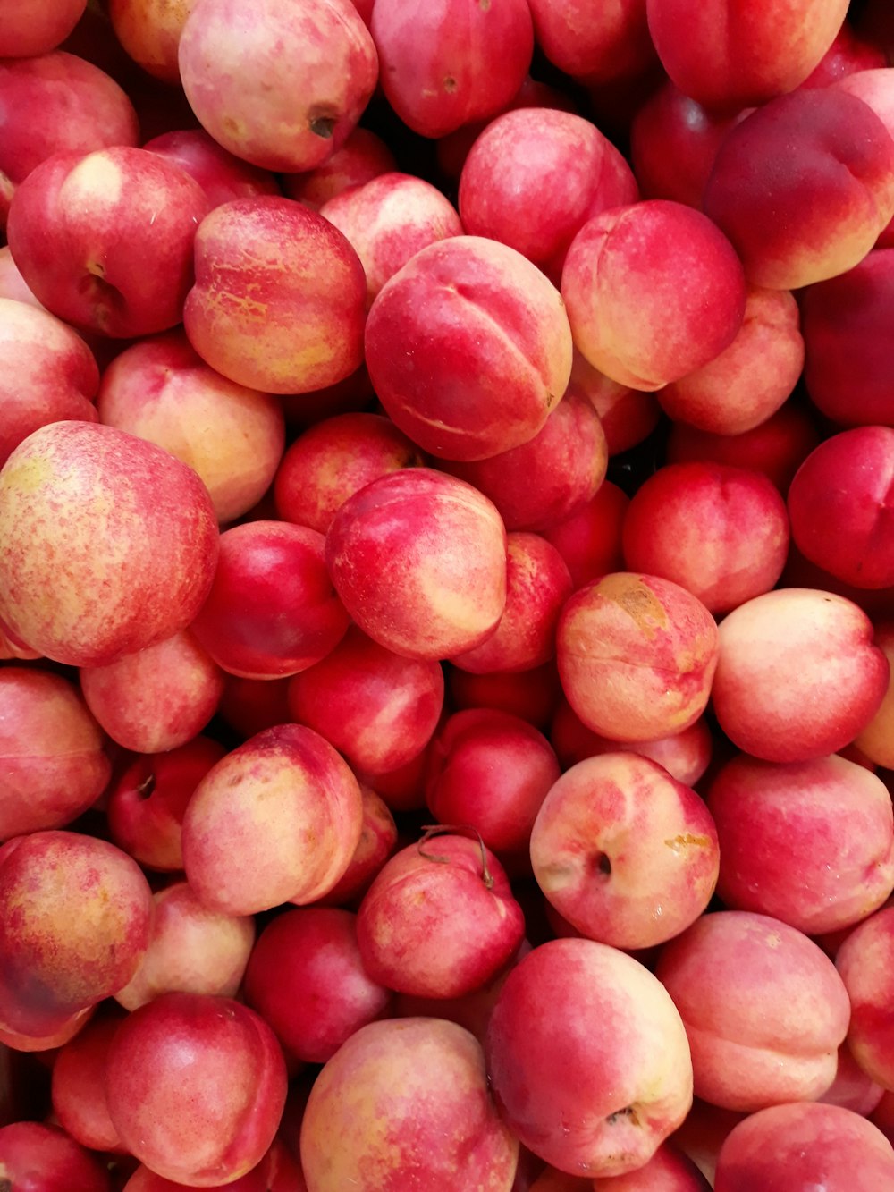 빨간 사과 과일의 얕은 초점 사진