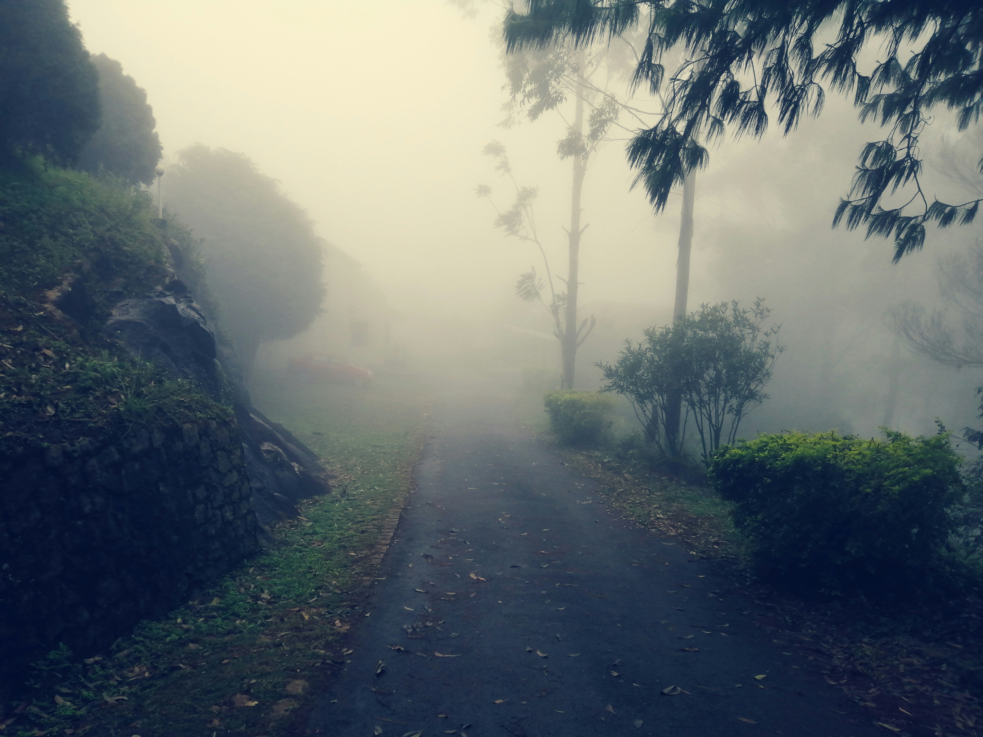 안개 속에서 길을 잃는 꿈과 그 의미 다양한 해석