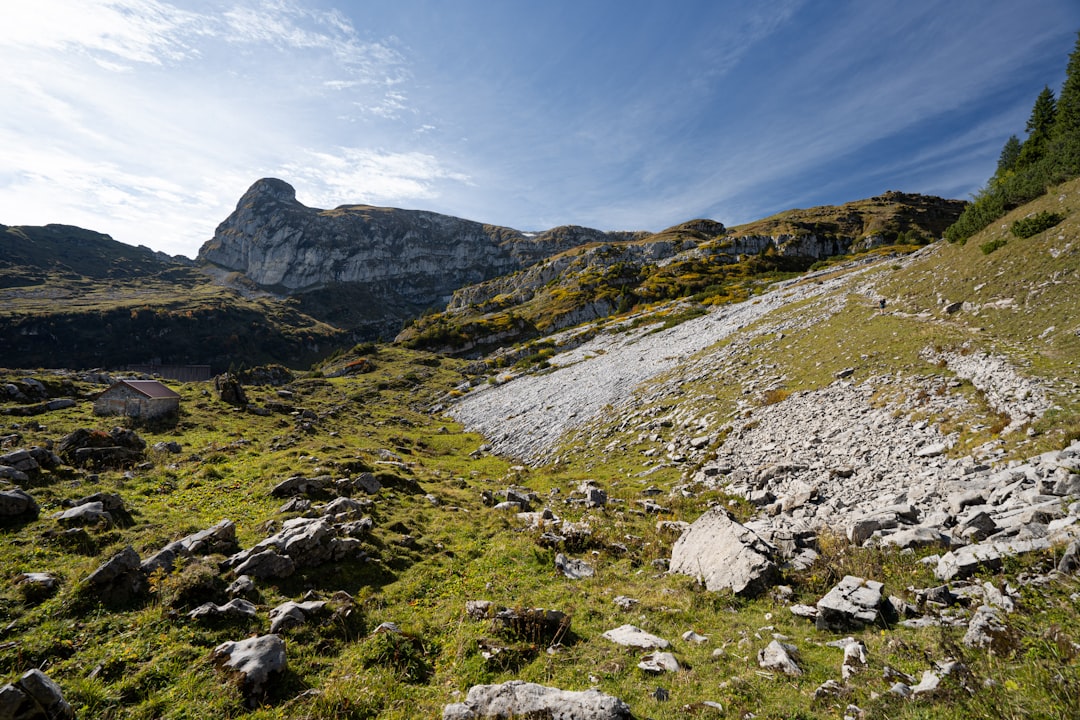 green rock formation at daytime