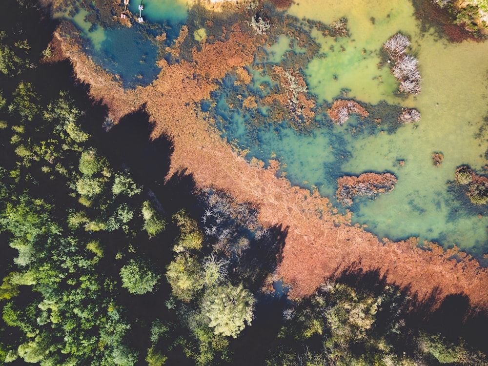 aerial photo of body of water