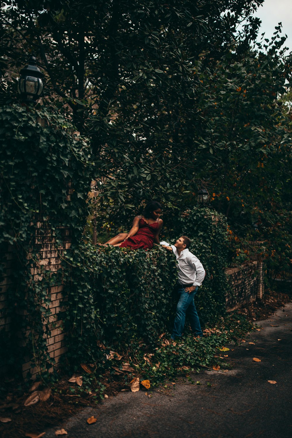 man standing beside woman sitting on fence near tree during daytime