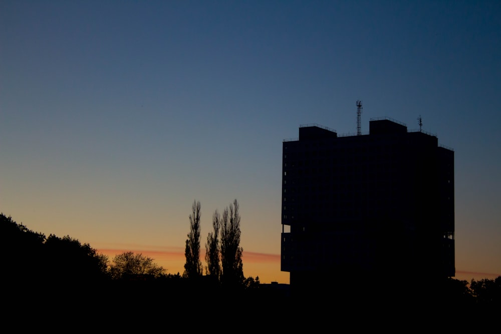 building and plants