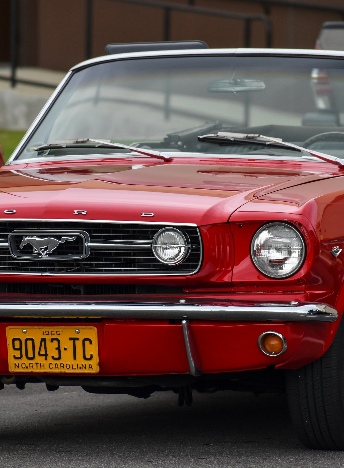 Red Ford Mustang in a clean automotive shot