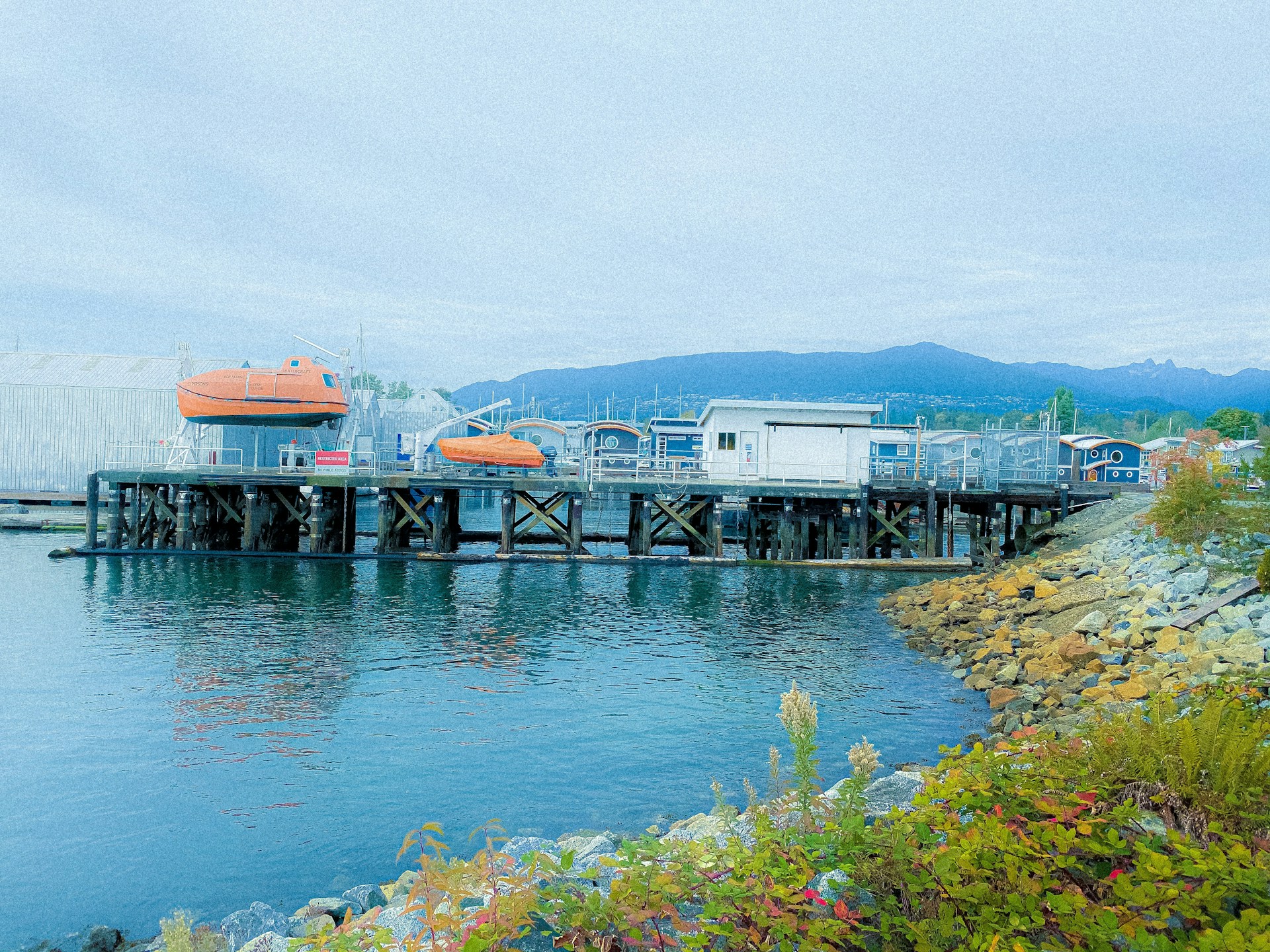wooden dock on water at daytime