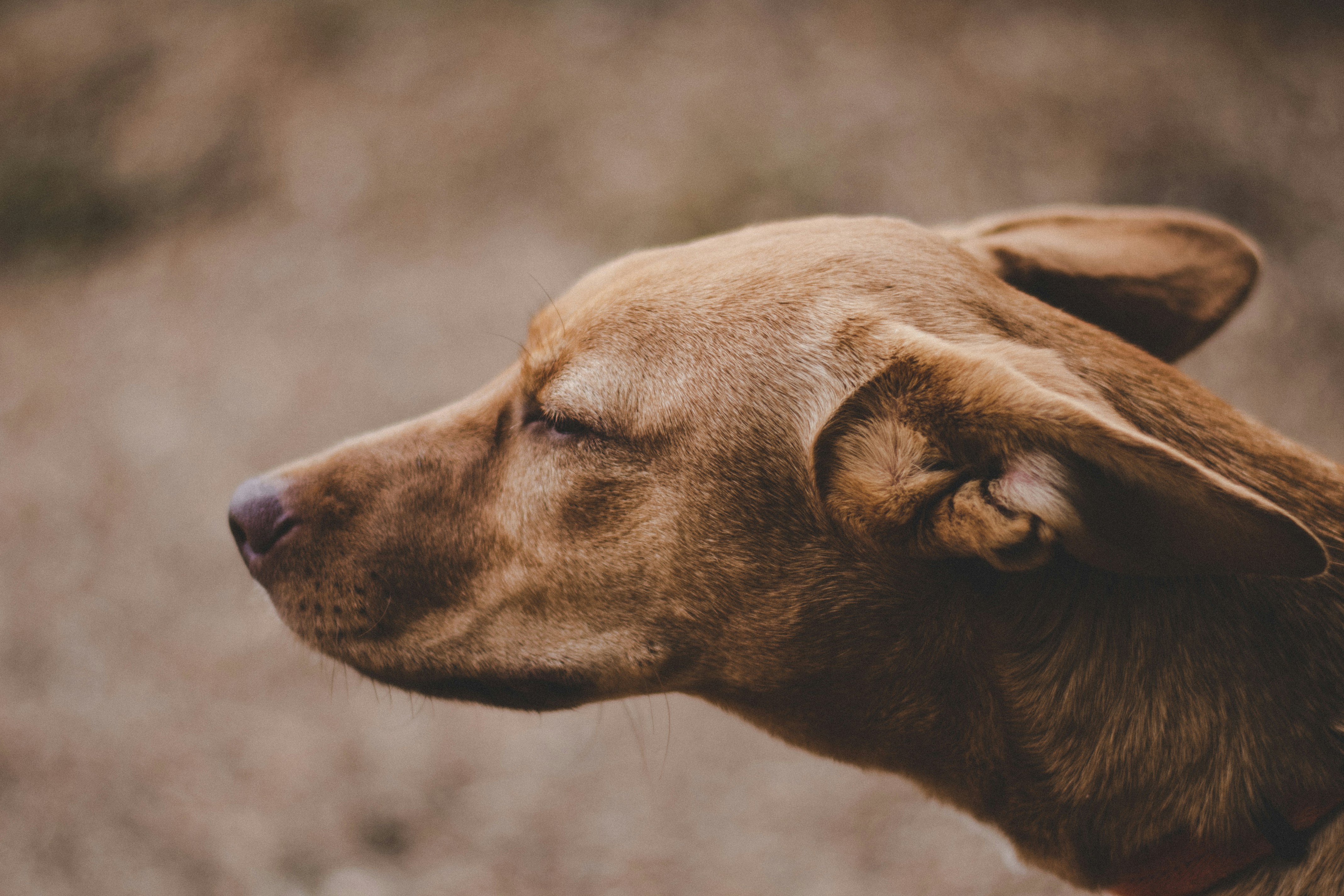 Photo by irishappens