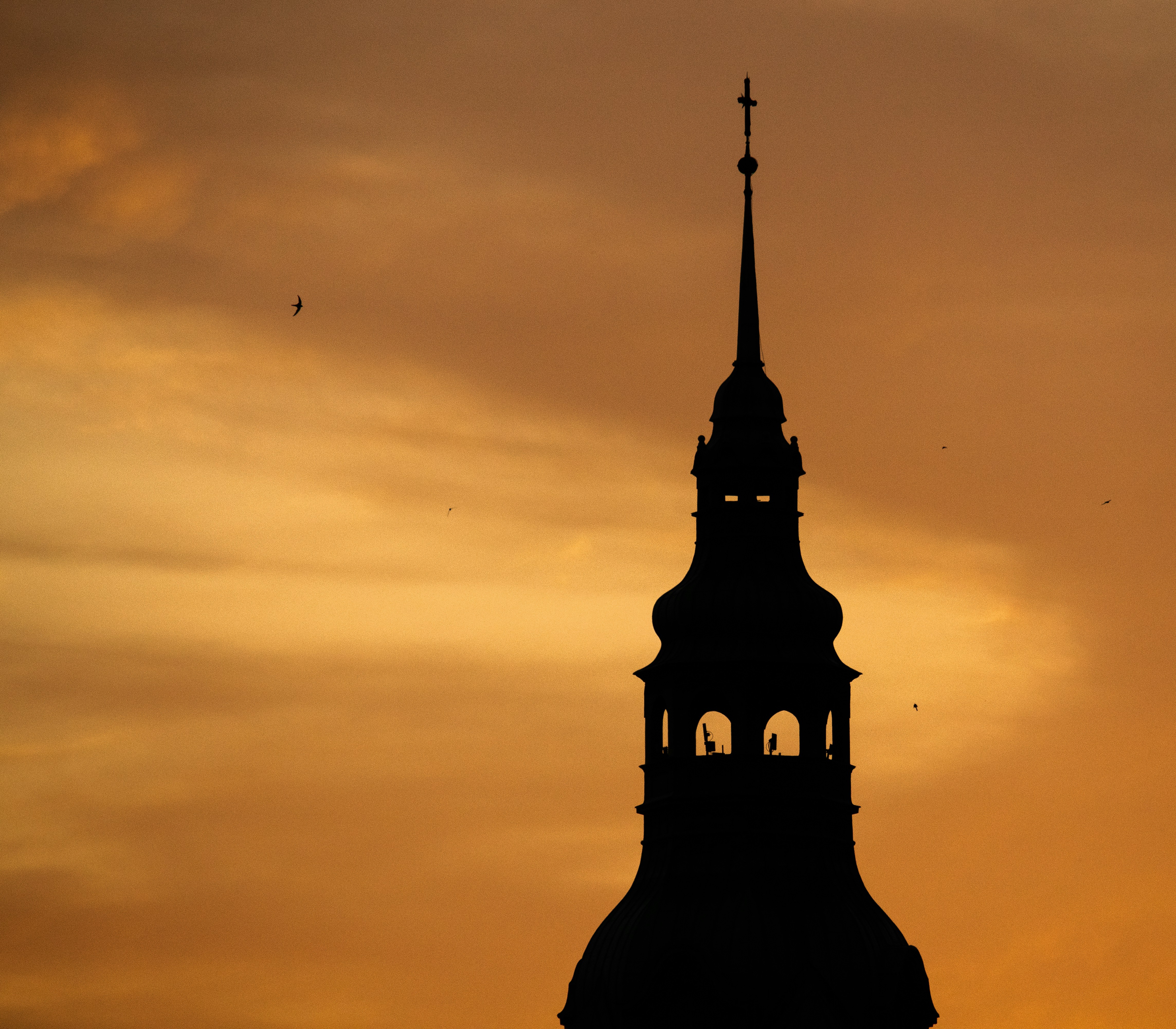 Photo by martinkrchnacek