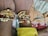 Several colorful bracelets with beads, pearls, and intricate designs adorn the wrists of two individuals. The bracelets feature a mix of gold, red, and pearl accents, with one prominently featuring a floral motif embellished with gemstones.