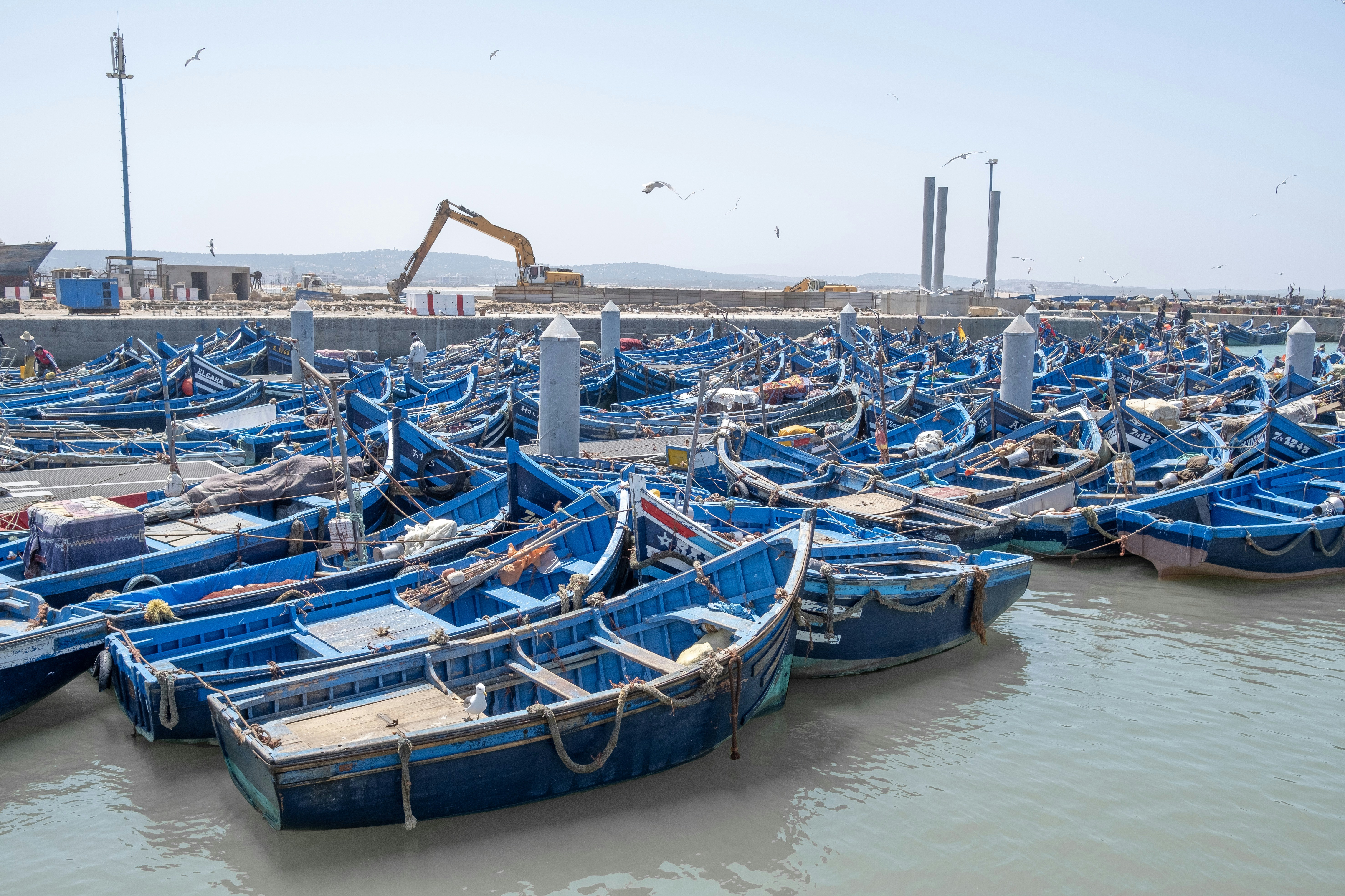 Dozens of blue boats at the Essaouira Citadel