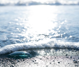 stone on shore during daytime