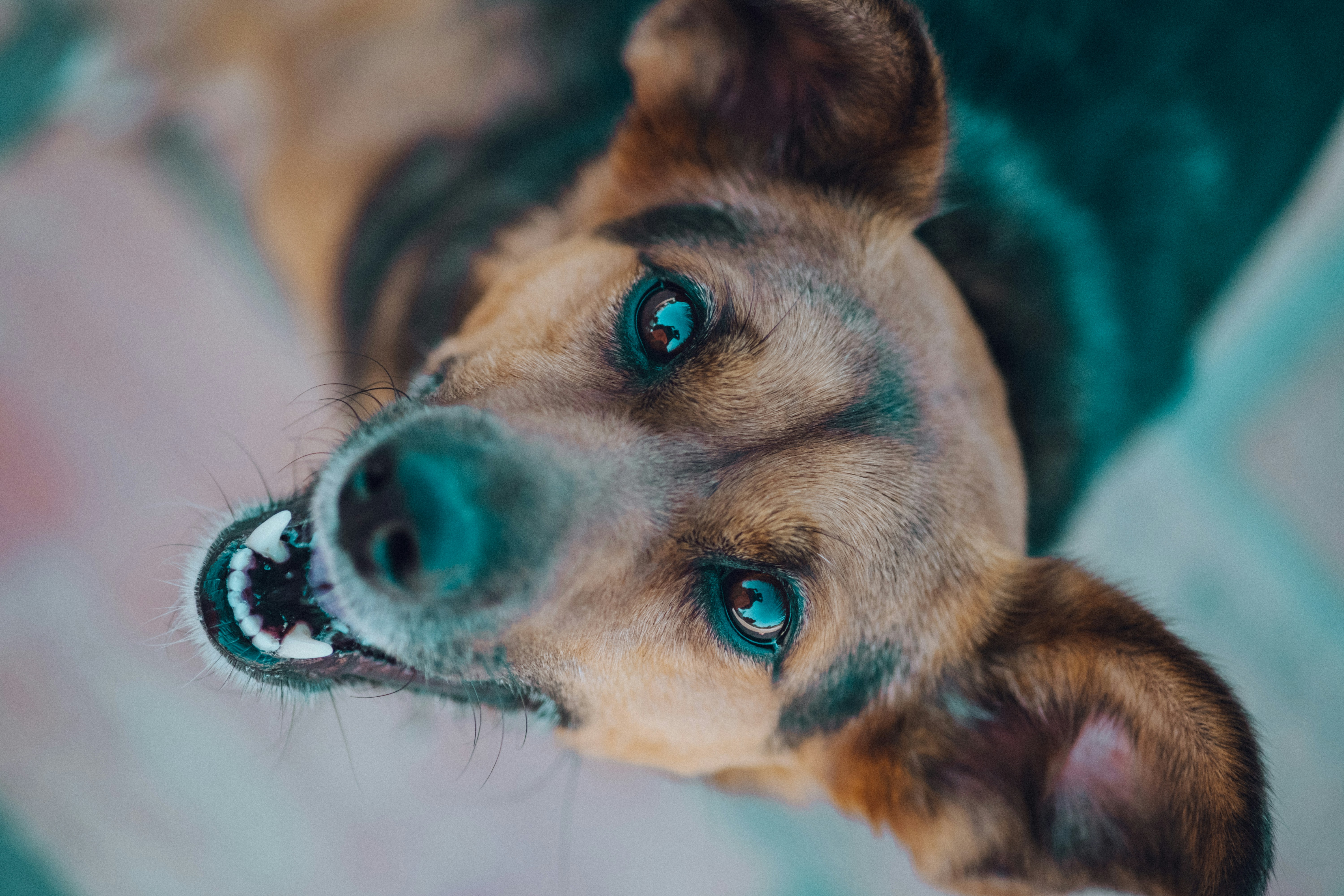 Photo by thequickbrownphox