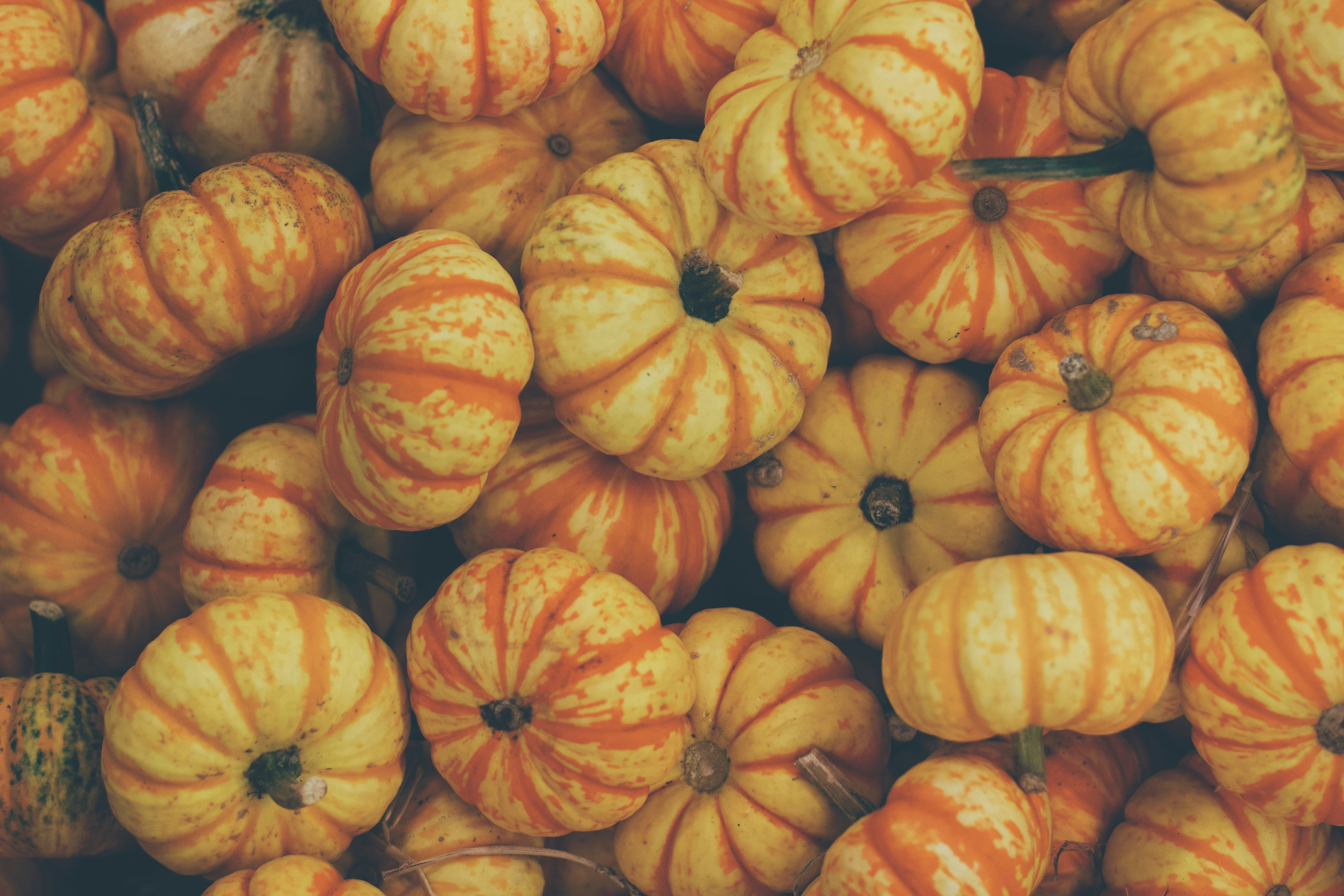 Seasonal autumn flavors