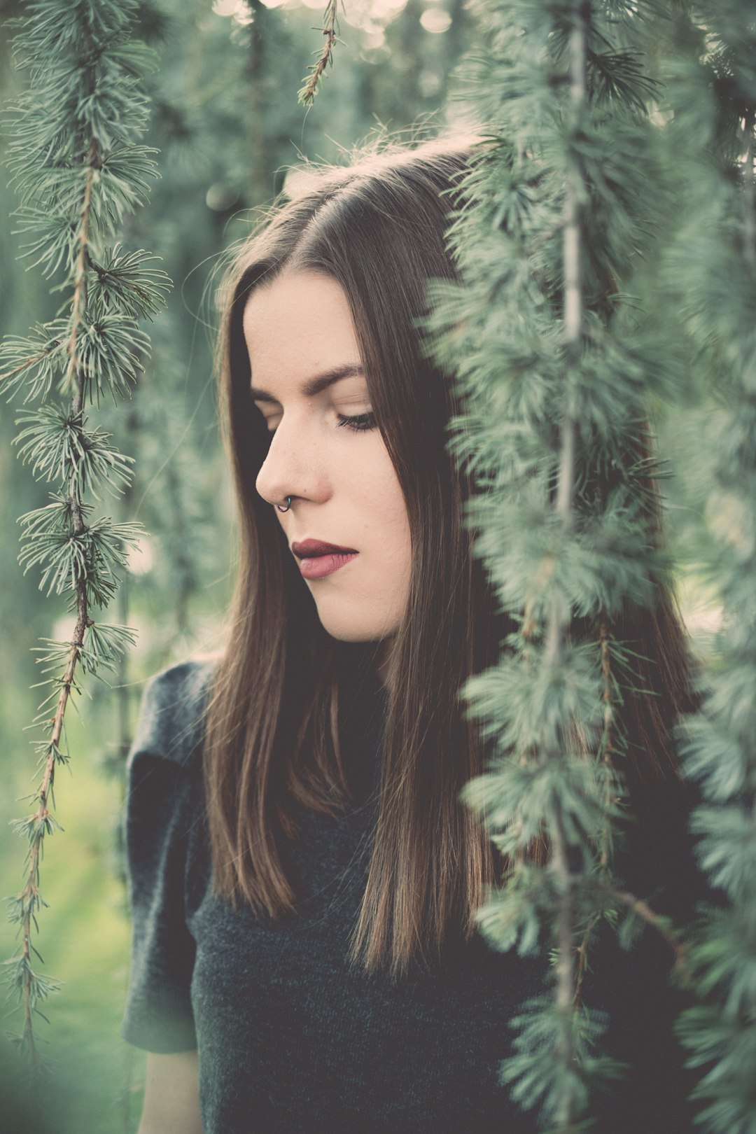 Forest photo spot TimiÈ™oara Arad