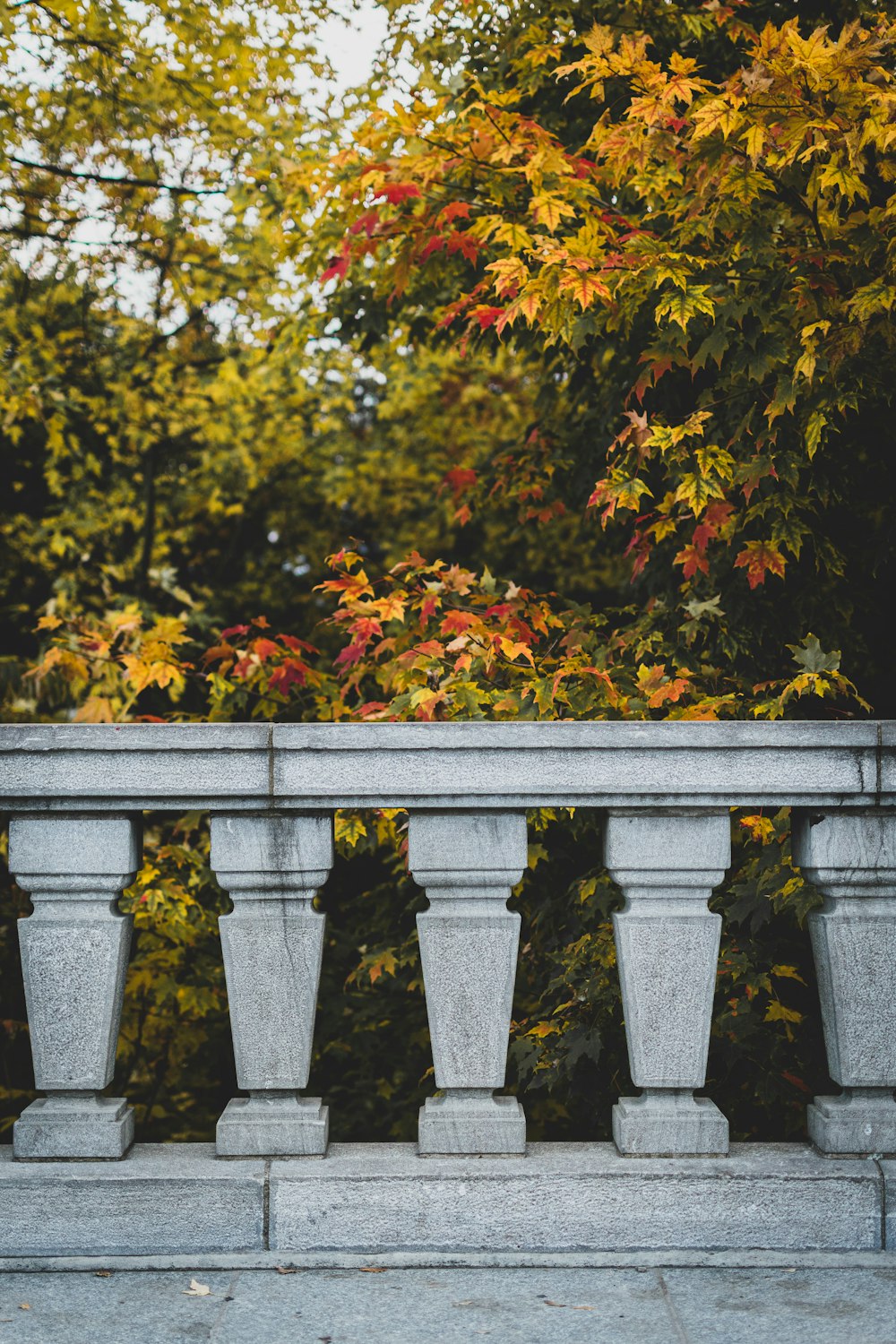 gray concrete fence