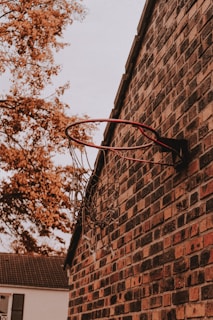 A rustic, outdoor basketball hoop is mounted on a brick wall with a tangled net. Autumn foliage with orange and brown leaves is visible in the background. The overall atmosphere is serene, with a nostalgic touch.