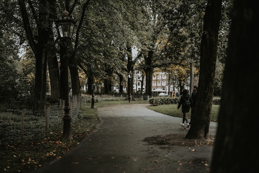 man and woman walking beside trees