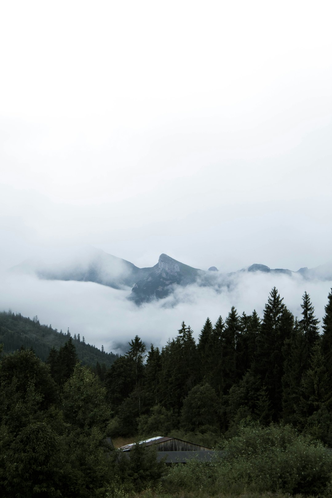 Hill station photo spot Jurgów Morskie Oko