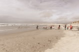 Children learning to surf with instructors on gentle waves