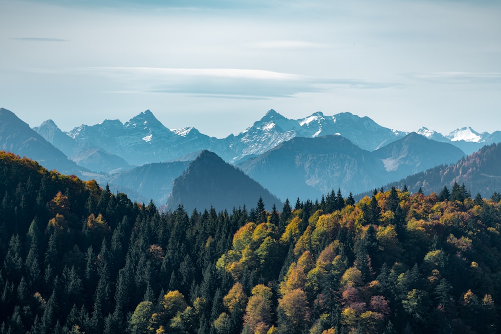 wide-angle photography of mountain range during daytime