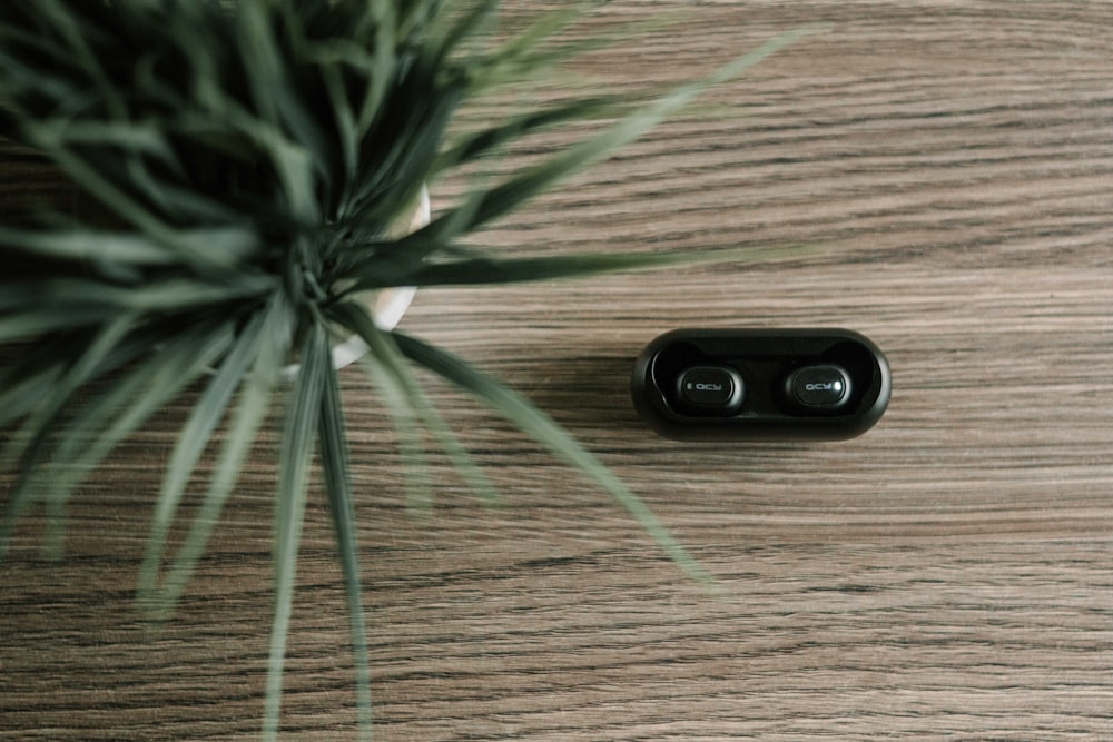 black earbuds beside white potted green plant