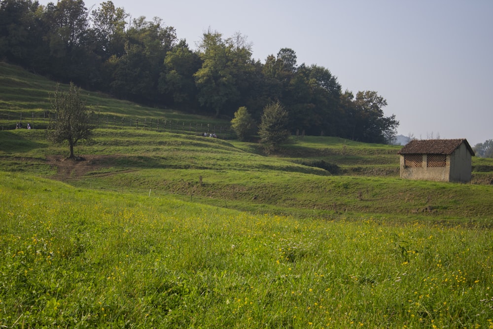 brown house near green grass during daytime