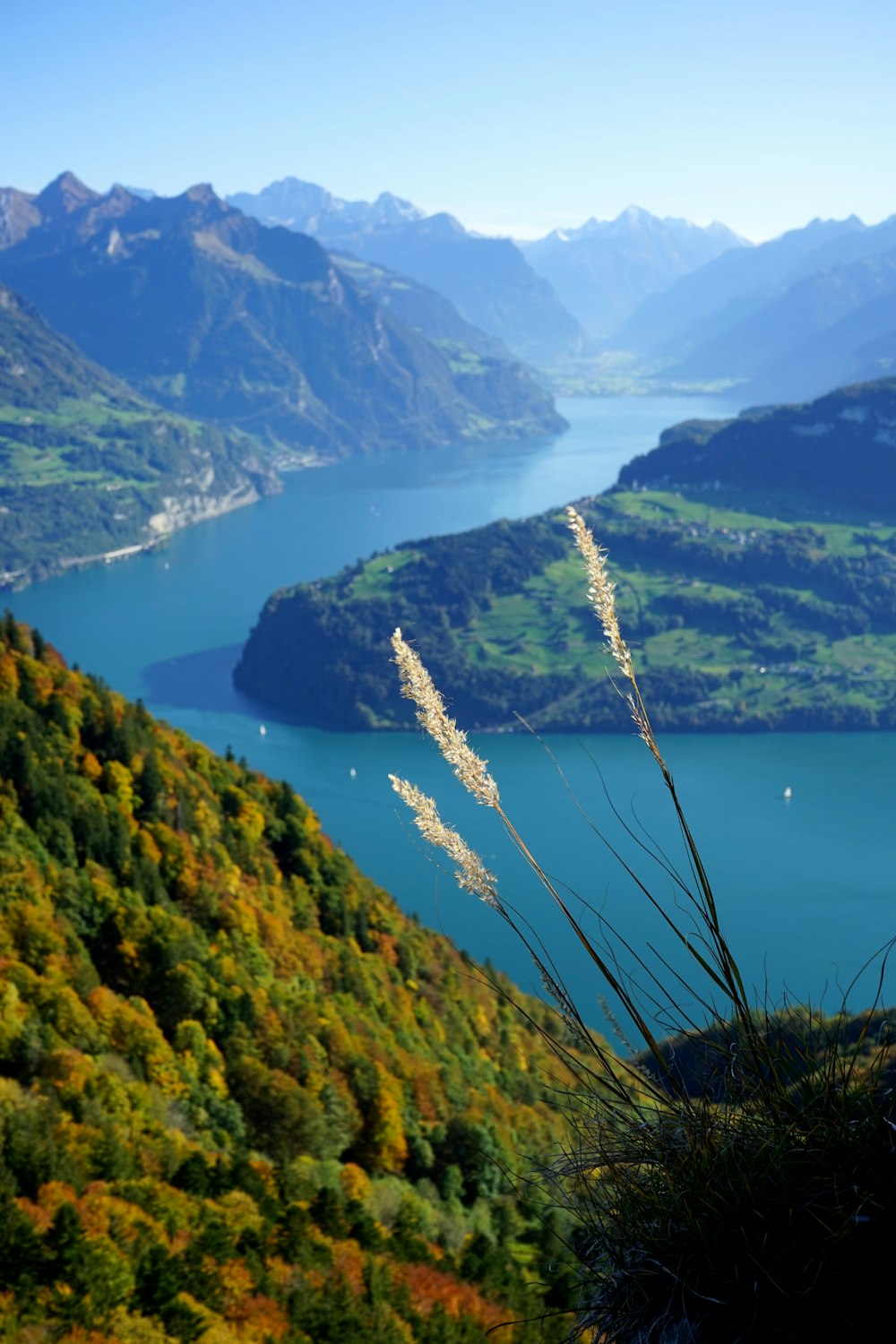 aerial view of river and mountains