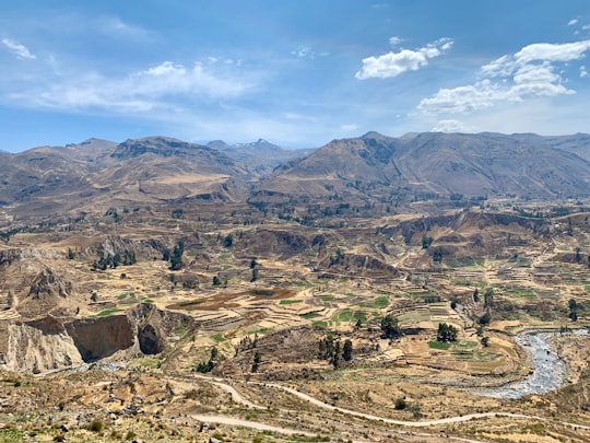 aerial view of desert during daytime in Valley and Colca Canyon Peru