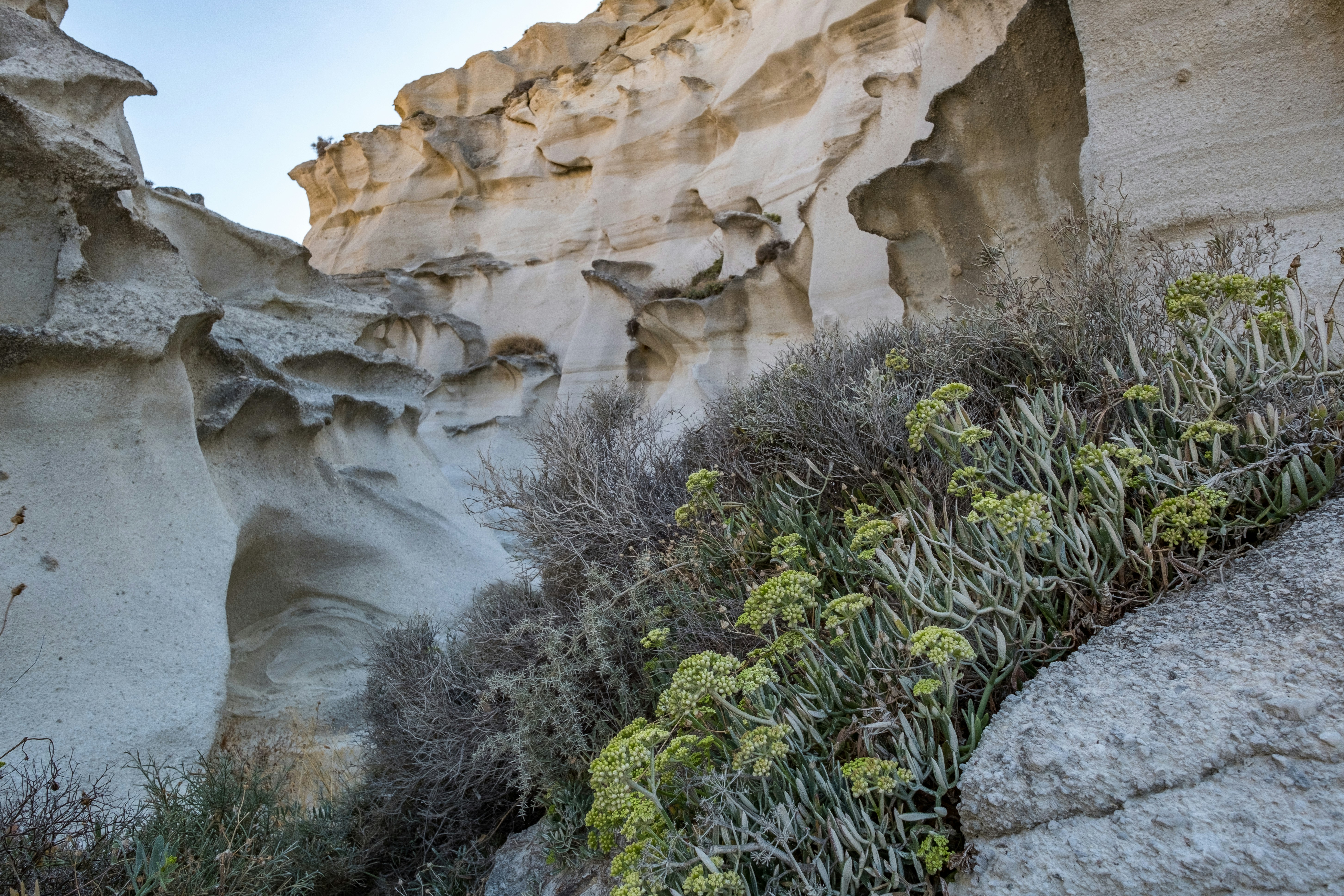 Photo by christian_thoeni