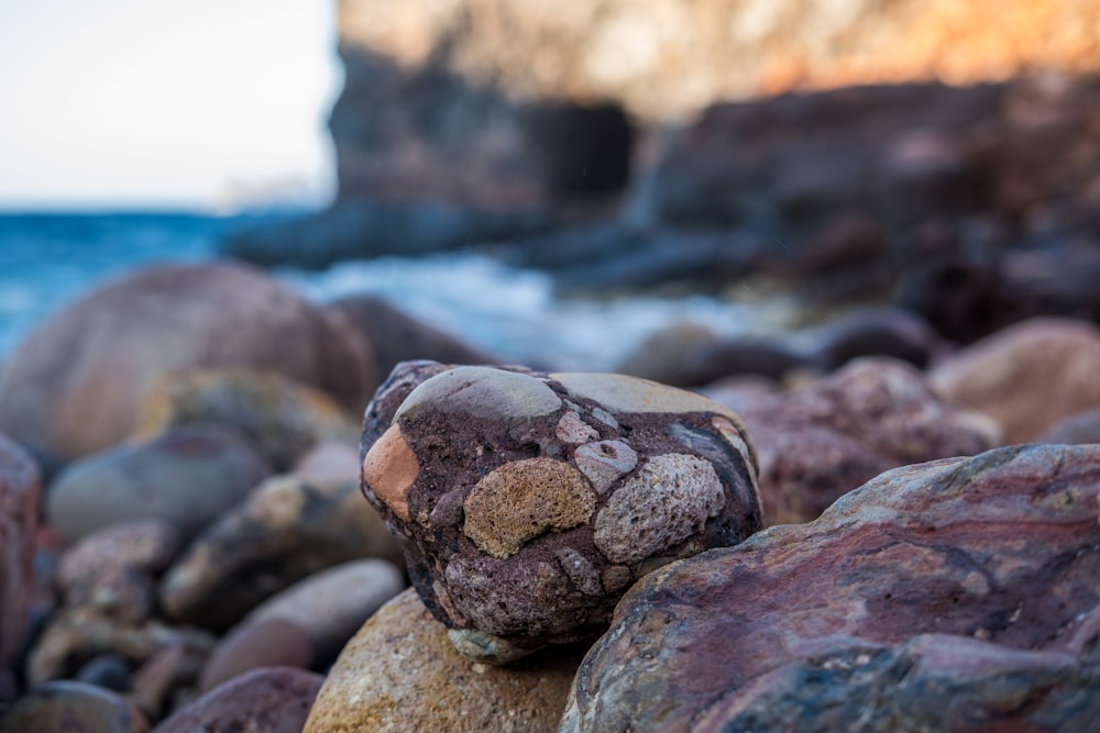 macro photography of rocks near sea