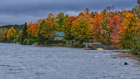 Lac Lyster things to do in Orford