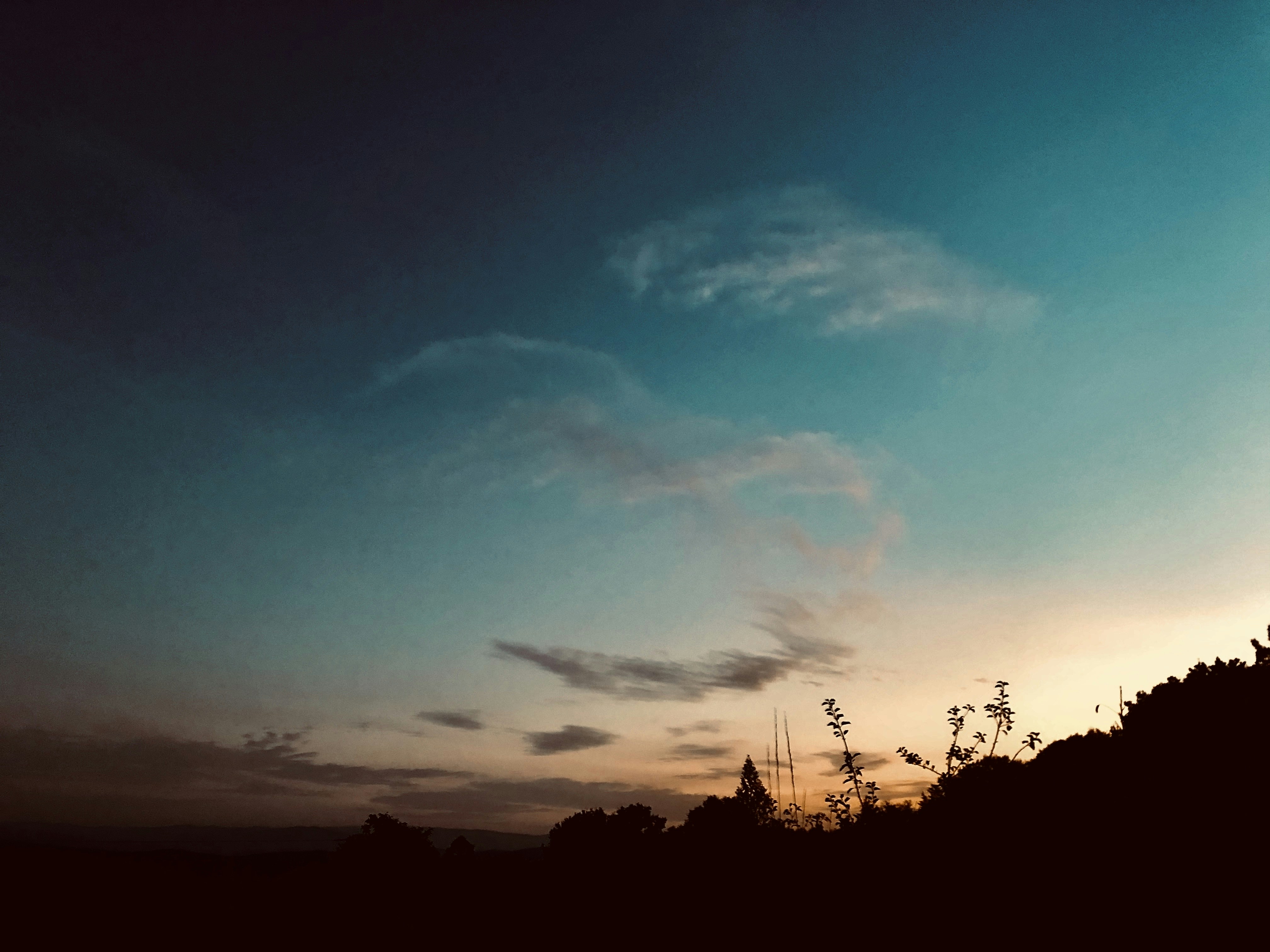 Photo by aperturevintage