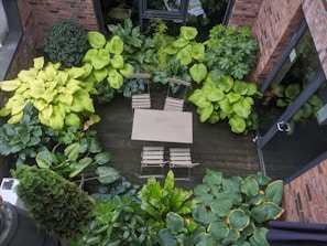 A warm brick paver patio with a cozy seating area surrounded by lush greenery on a sunny day.