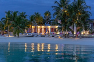 palm trees